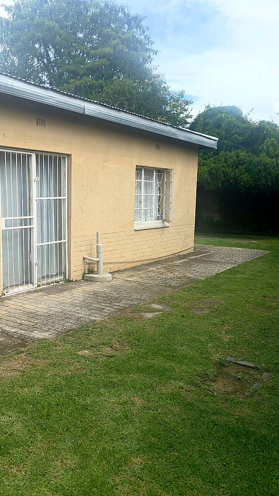 Eleazer Street House garden
